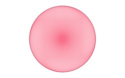 2014 05 03 Test 2 00-white.jpg